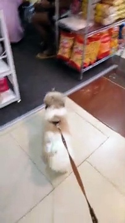 Please Subscribe And Leave A Tip.. Madami Po Akong Coins Pang Tip Back.. Just Leave A Comment 