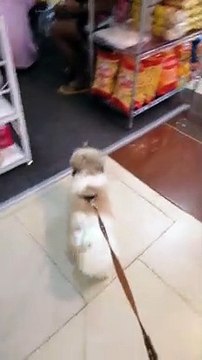 Please Subscribe And Leave A Tip.. Madami Po Akong Coins Pang Tip Back.. Just Leave A Comment