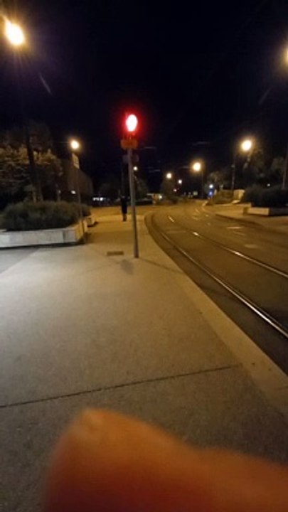 Grenoble, ville de la région Rhône-Alpes du sud-est de la France (25)