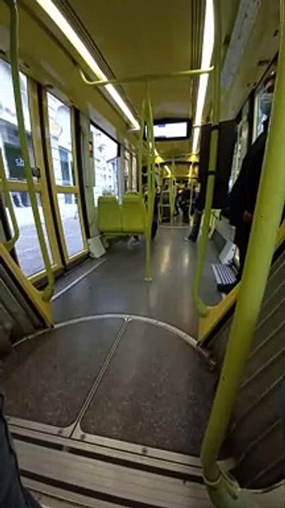 Grenoble, ville de la région Rhône-Alpes du sud-est de la France (2)