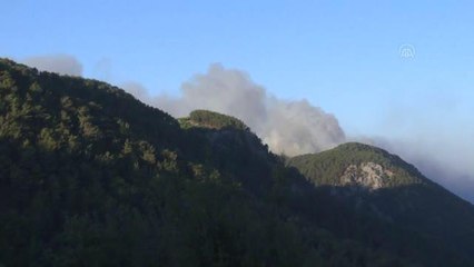 Dün çıkan orman yangınına havadan ve karadan müdahale ediliyor