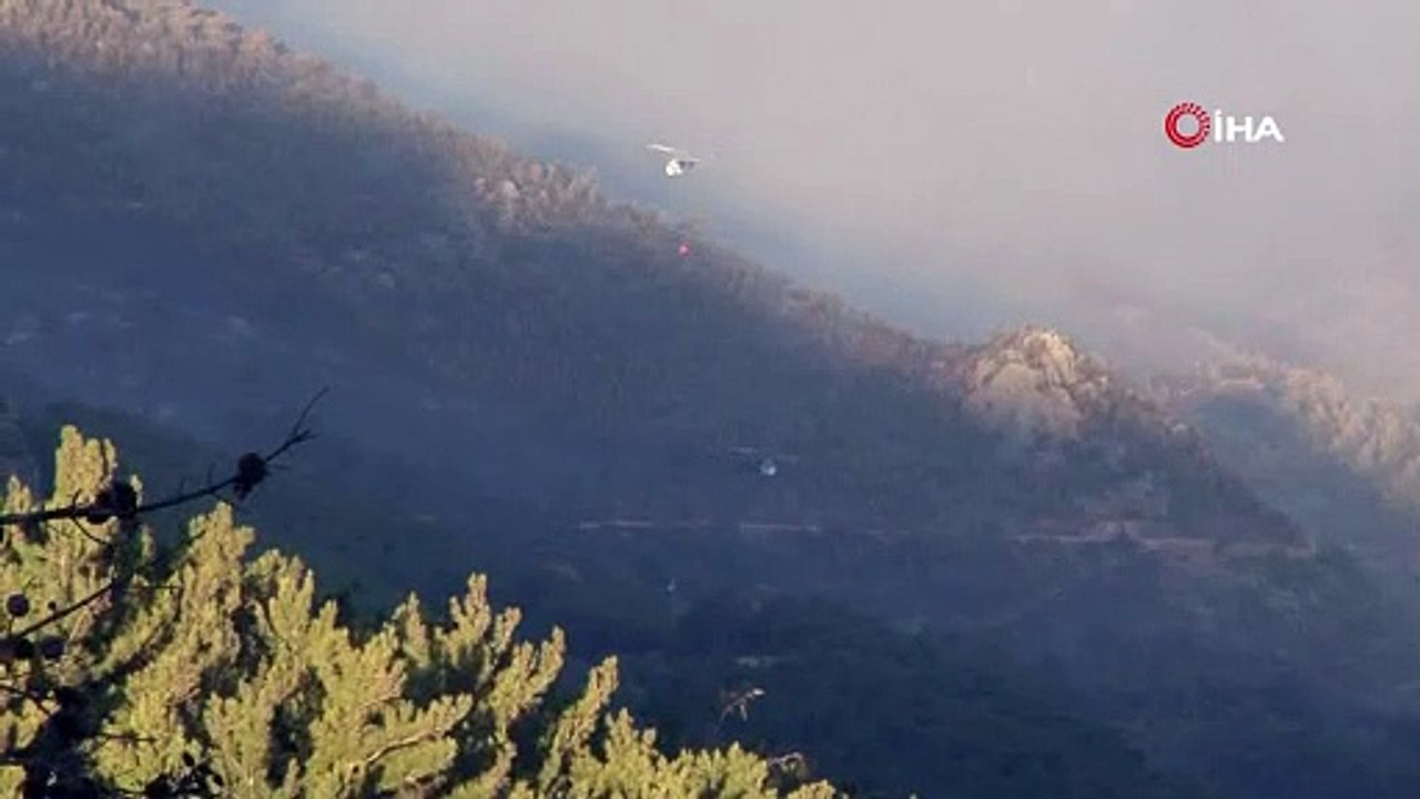 Mersin'deki orman yangınına havadan müdahale ediliyor