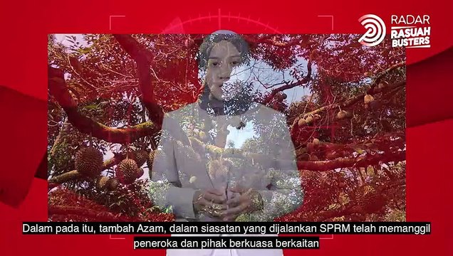 Awas dalang kebun durian haram