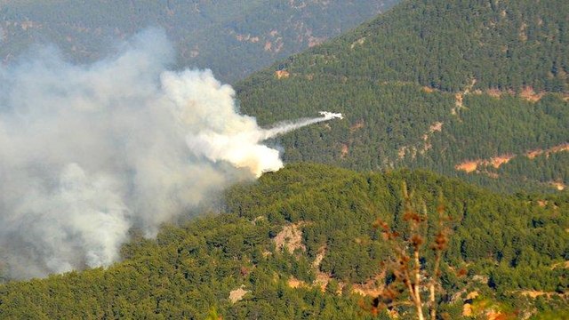 Mersin’de dün çıkan orman yangınına havadan ve karadan müdahale ediliyor