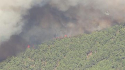 Dün çıkan orman yangınına havadan ve karadan müdahale ediliyor (2)