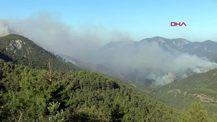 Mersin'deki orman yangınına müdahale yeniden başladı