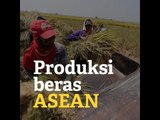 Indonesia Produsen Beras Terbesar di ASEAN