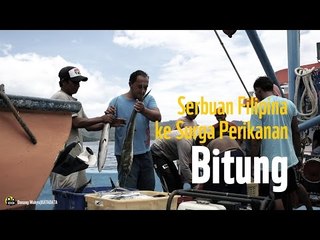 Serbuan Filipina ke Surga Perikanan Bitung
