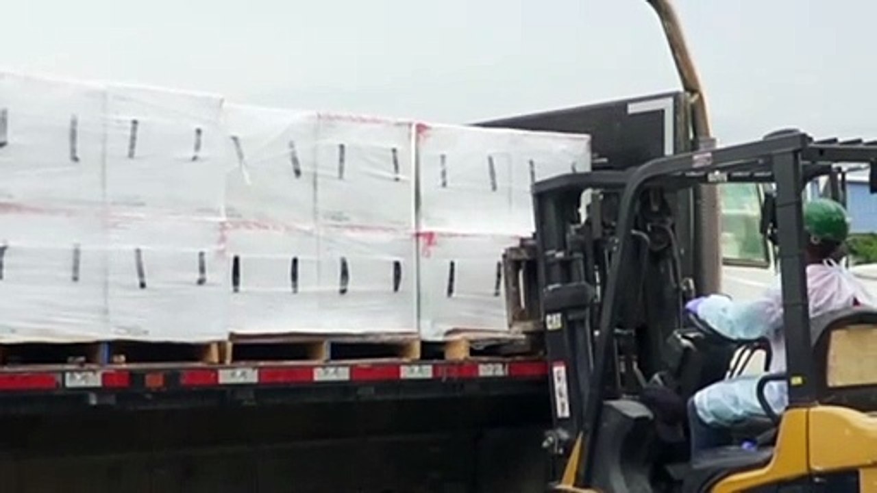 Lieferung eingetroffen: Impfstoff für Haiti