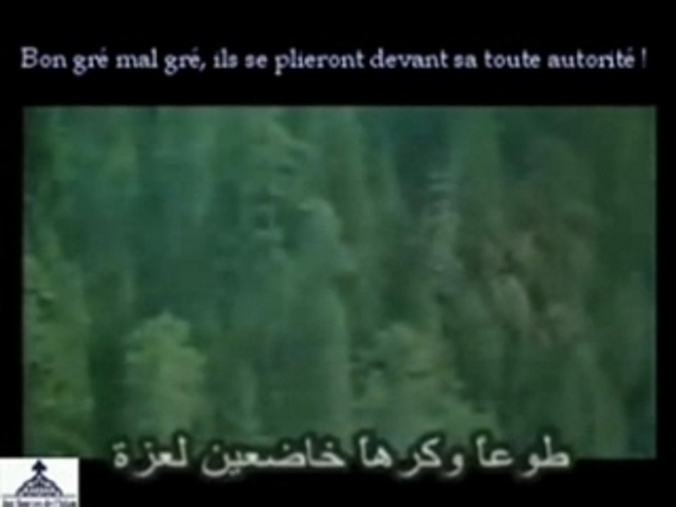Poesie partie 2