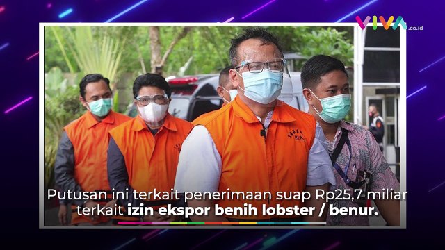 Edhy Prabowo Dipenjara 5 Tahun Kasus Korupsi Benih Lobster