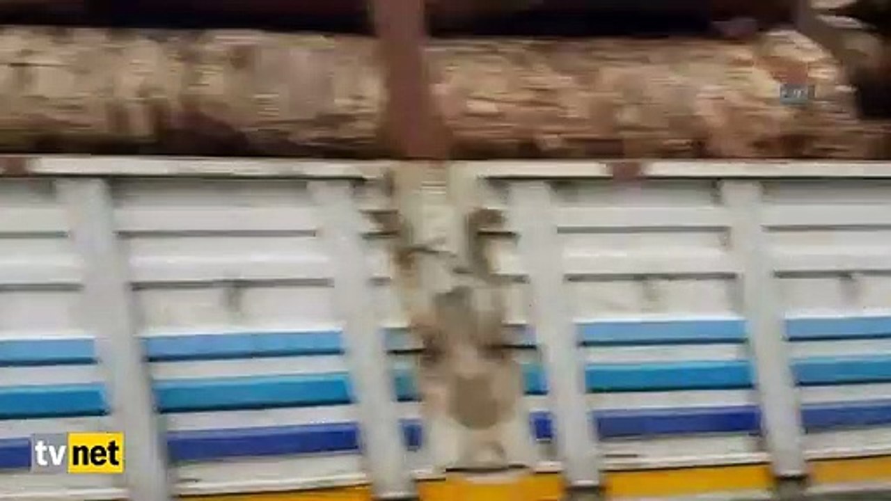 Yangına oksijen tüpü ile müdahale edince...