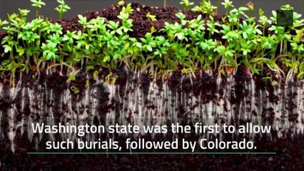 Human Composting is Now Legal in Oregon