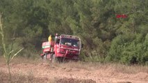 Osmaniye'deki orman yangınında 15 hektar alan zarar gördü