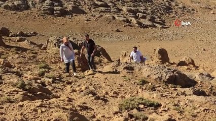 Sağlık çalışanları dağ tepe demeden çobanları aşılıyor