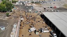 Diyarbakır Hayvan Borsası'nda beklenen hareketlilik yaşanmıyor