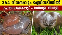 Rare purple frog spotted in Thrissur | Oneindia Malayalam