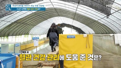 흙탕물 가득한 논 속 그녀의 혈관 관리 비법은?