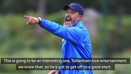 Only time will tell if Nuno is right for Tottenham - Waddle