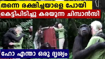 Viral Video: Chimpanzee hugs primatologist Jane Goodall after being rescued