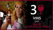 137 | EL CELLER D'EL NACIONAL | La malvasia de Sitges i la seva curiosa història: 3 vins per gaudir-la