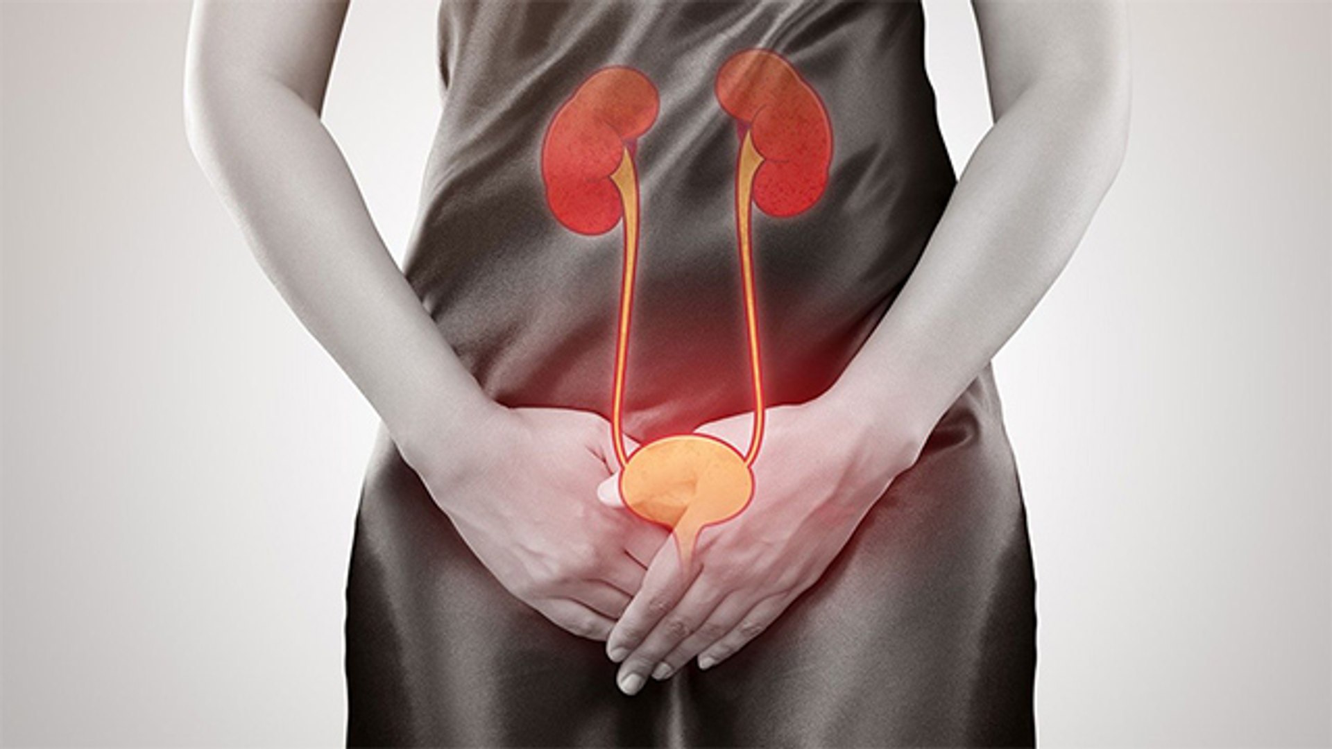 ⁣Kidney से जुड़ी ये बीमारी हो सकती है बेहद गंभीर, इन लक्षणों से पहचानें । Boldsky