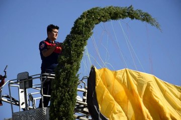 Yer çalışması yapan paraşütçü rüzgar çıkınca çam ağacına takıldı