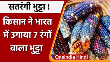 Kerala: सतरंगी दानों वाली Corn पैदा कर किसान ने किया कमाल, देखें Pictures | वनइंडिया हिन्दी