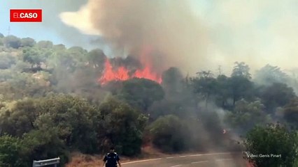 Incendi forestal a Llançà