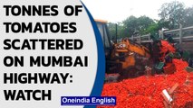 Mumbai Highway: Road turns red with around 20 tonnes of scattered tomatoes| Watch| Oneindia News