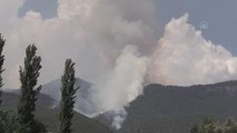 Hassa'daki orman yangınına havadan ve karadan müdahale ediliyor (2)