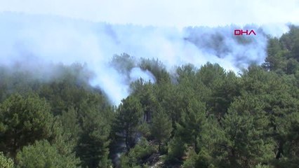 Son dakika: HASSA'DAKİ YANGIN, 2'NCİ GÜNDE DE DEVAM EDİYOR