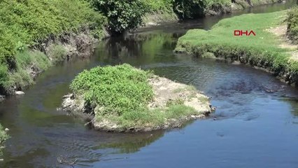 İYİ PARTLİLER, NİLÜFER ÇAYI'NIN KİRLİLİĞİNE DİKKAT ÇEKTİ