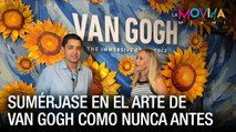 Sumérjase en la obra de arte de Van Gogh como nunca antes - La Movida Miami