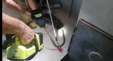 SİLİVRİ'DE FABRİKAYA GİREN YILANI İTFAİYE ÇIKARDI