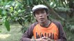 HENDRIKUS ADAM (KEPALA KAJIAN, DOKUMENTASI, DAN KAMPANYE WALHI KALBAR) | Katadata Indonesia