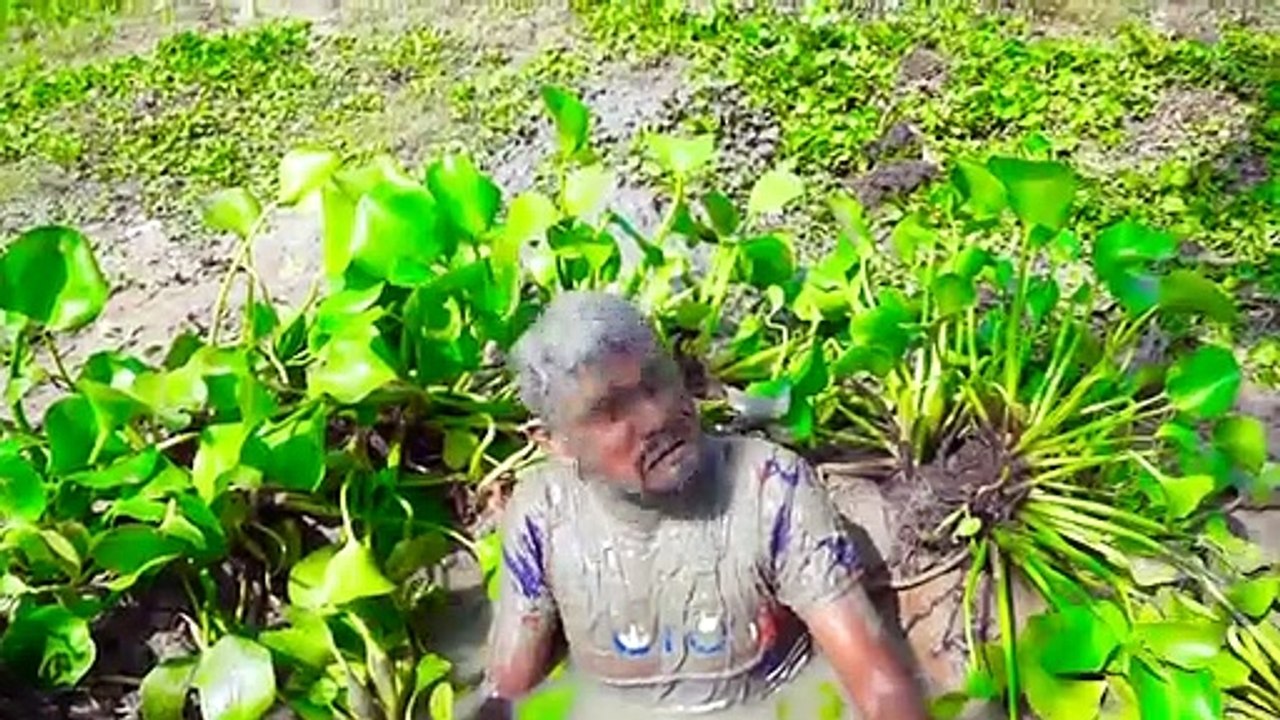 New Funny Video 2021 Top New Comedy Video Try To Not Laugh