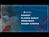 Khasiat Plasma Darah Mengobati Pasien Corona | Katadata Indonesia