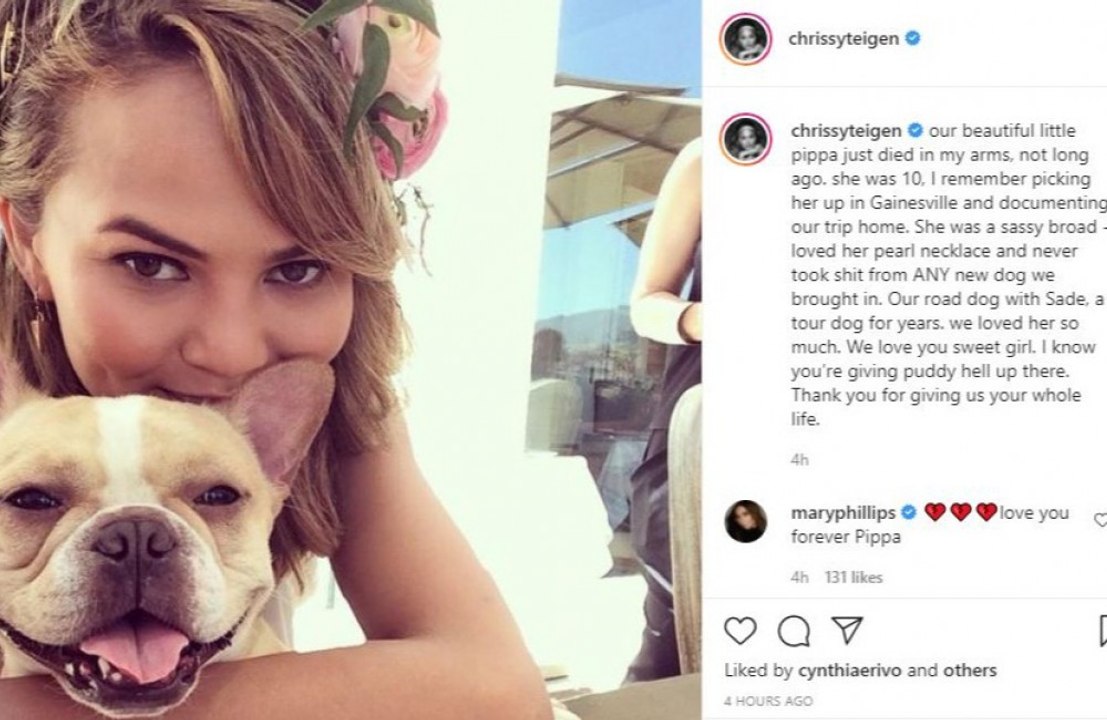 Chrissy Teigen und John Legend trauern um ihren Hund