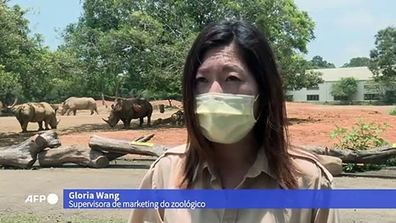 Zoológico on-line