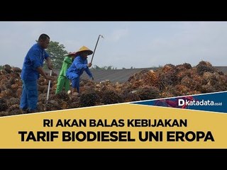 RI Akan Balas Kebijakan Tarif Biodiesel Uni Eropa | Katadata Indonesia