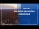 Polemik Karhutla Indonesia | Katadata Indonesia