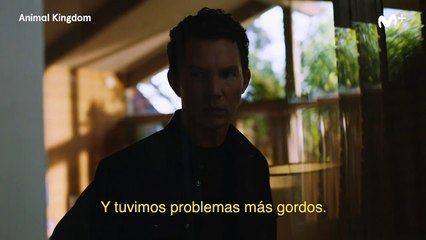 Animal Kingdom - Recap VOSE