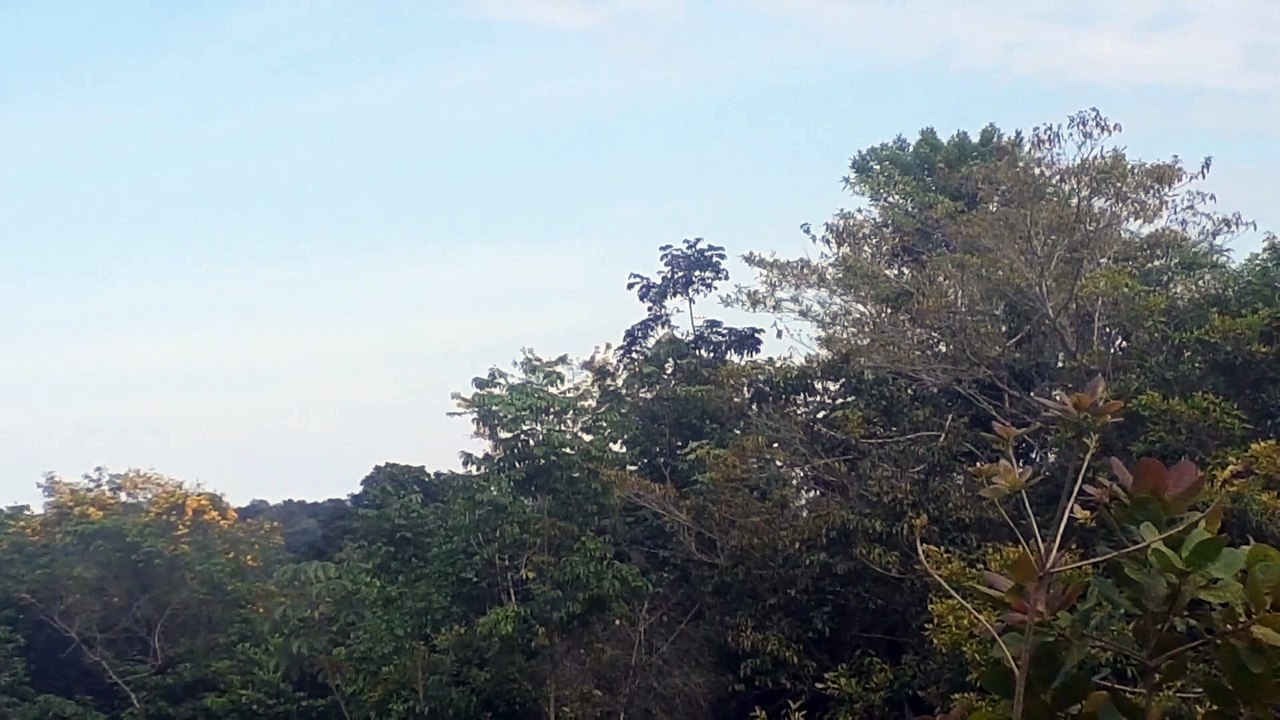 Boeing 737-800 PR-VBF na aproximação final antes de pousar em Manaus vindo de Fortaleza