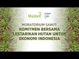 MORATORIUM SAWIT: KOMITMEN BERSAMA LESTARIKAN HUTAN UNTUK EKONOMI INDONESIA| Katadata Indonesia