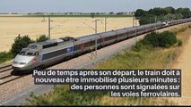 Près de 11 heures pour rallier Toulouse à Paris : une nuit en enfer pour des centaines de passagers d'un train_IN