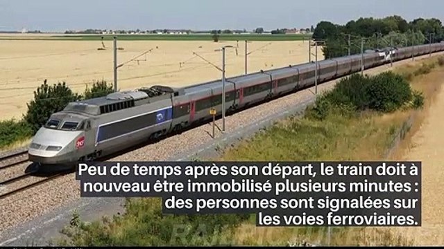 Près de 11 heures pour rallier Toulouse à Paris : une nuit en enfer pour des centaines de passagers d'un train_IN
