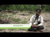 RIWANTO (PETANI SAWIT RIAU) | Katadata Indonesia
