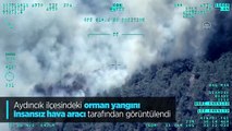Orman yangını insansız hava aracı tarafından görüntülendi