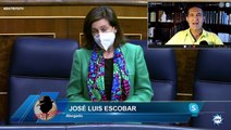 José Escobar: El TC vela por los derechos fundamentales y Margarita Robes lo llama carencia de Estado